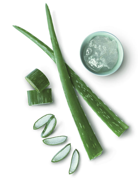 Gel za tuširanje, aloe vera