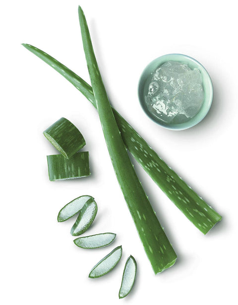 Vivi Aloe, napitak