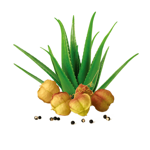 Aloe Vera, sprej